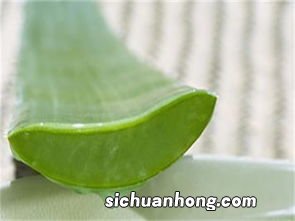芦荟鸡蛋清面膜的功效芦荟鸡蛋清面膜有什么功效