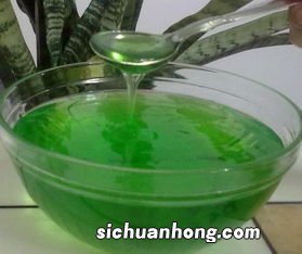 芦荟鸡蛋清面膜的功效芦荟鸡蛋清面膜有什么功效
