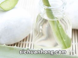 芦荟鸡蛋清面膜的功效芦荟鸡蛋清面膜有什么功效