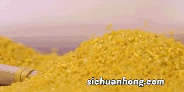 干木耳泡多久会变质