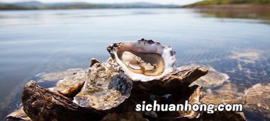 为什么吃生蚝要就海水