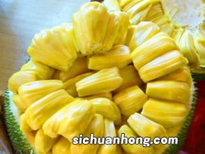 菠萝蜜与什么不能同食