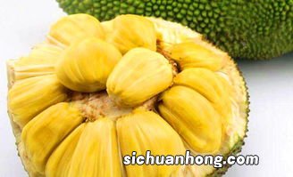 菠萝蜜与什么不能同食