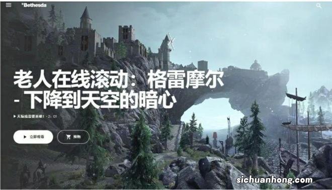 老滚OL中文版的“动感婆婆”，到底是不是机翻？