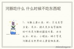 河豚吃什么 什么时候不吃东西呢