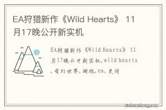 EA狩猎新作《Wild Hearts》 11月17晚公开新实机