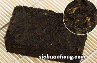 什么牌黑茶好