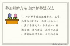 养加州鲈方法 加州鲈养殖方法