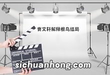 曹文轩解释根鸟结局 曹文轩根鸟结局是什么意思