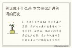 普洱属于什么茶 本文带你走进普洱的历史