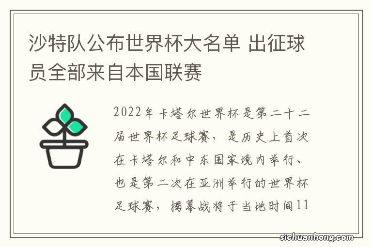 沙特队公布世界杯大名单 出征球员全部来自本国联赛