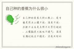 自己种的香蕉为什么很小