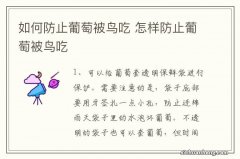 如何防止葡萄被鸟吃 怎样防止葡萄被鸟吃