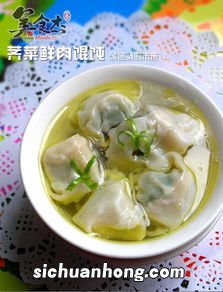 什么菜可以包馄饨