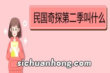 民国奇探第二季叫什么 《《民国奇探》简介