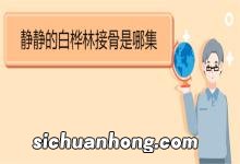 静静的白桦林接骨是哪集 《静静的白桦林》剧情简介