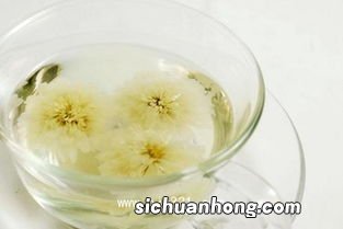 泡的贡菊什么味道