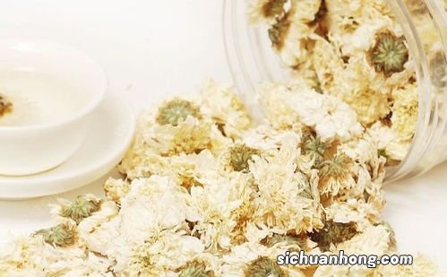 泡的贡菊什么味道