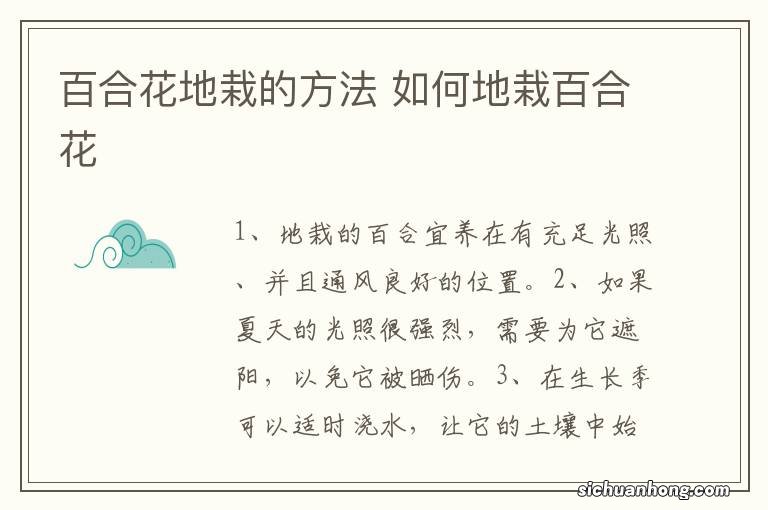 百合花地栽的方法 如何地栽百合花