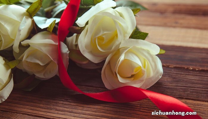 1000种花语大全 各种花的花语大全