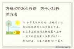 方舟水蛭怎么移除　方舟水蛭移除方法