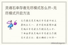 灵魂石幸存者无尽模式怎么开-无尽模式开启方法