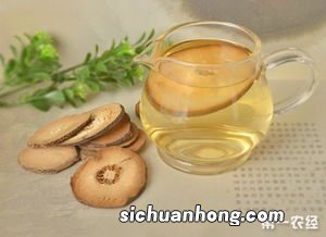 老人夏天喝什么茶