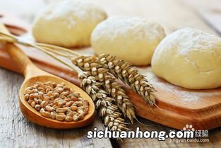 普通的面粉怎么做面包