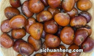 栗子是什么东西