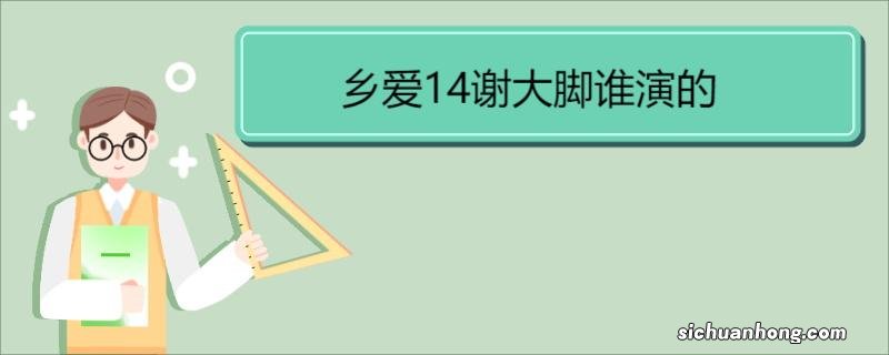 乡爱14谢大脚谁演的 《乡村爱情14》剧情介绍