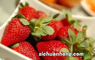 玫瑰味草莓是什么品种