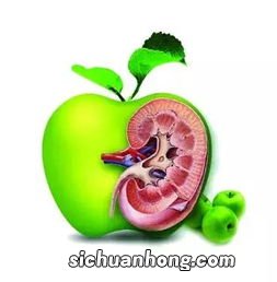 吃什么保护肾脏健康
