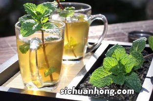 薄荷搭配什么花茶