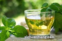 薄荷搭配什么花茶