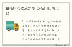 金桔树的摆放禁忌 放在门口可以吗