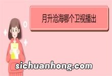 月升沧海哪个卫视播出《月升沧海》剧情介绍