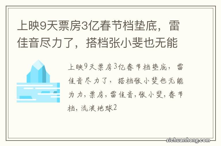 上映9天票房3亿春节档垫底，雷佳音尽力了，搭档张小斐也无能为力