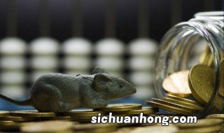 职务侵占罪属于经济犯罪吗 职务侵占罪属于经济犯罪吗