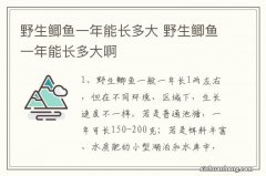 野生鲫鱼一年能长多大 野生鲫鱼一年能长多大啊