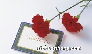 感恩贺卡文字内容 感恩节贺卡文字简短