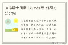 皇家骑士团重生怎么练级-练级方法介绍