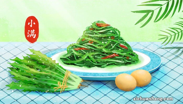 苦菜是什么菜图片 苦菜是什么菜