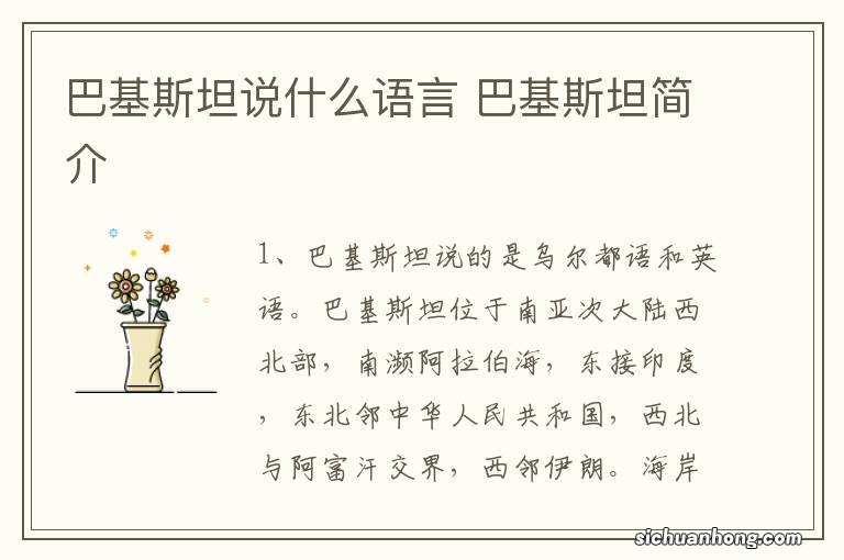 巴基斯坦说什么语言 巴基斯坦简介