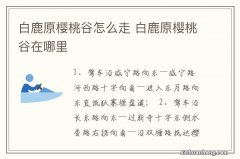 白鹿原樱桃谷怎么走 白鹿原樱桃谷在哪里