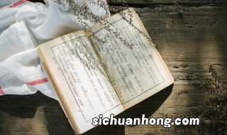 八月未央小说讲的什么 八月未央小说剧情简介