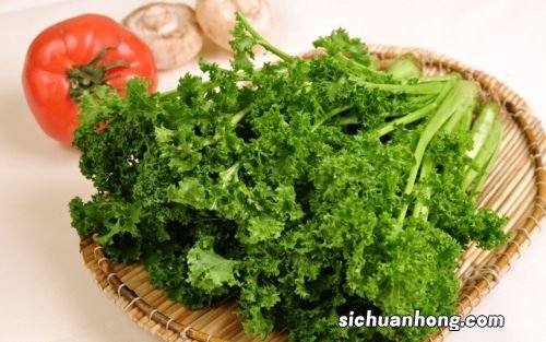 山东苔菜是什么