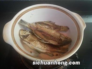 膨腮鱼怎么煲汤大全