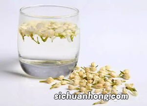 什么花茶芳香