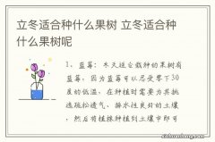 立冬适合种什么果树 立冬适合种什么果树呢