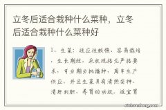 立冬后适合栽种什么菜种，立冬后适合栽种什么菜种好